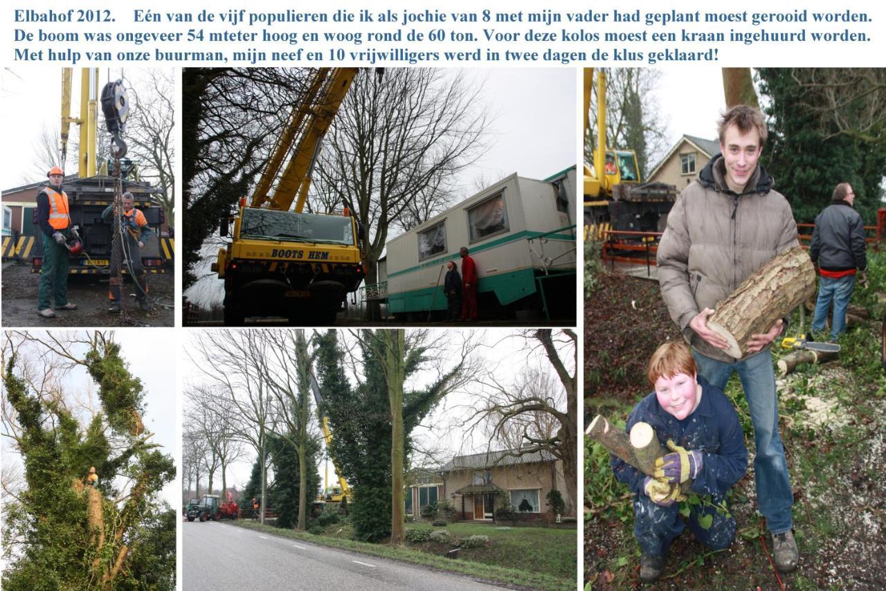 B&B Elbahof, Goed En Goedkoop! Hem ภายนอก รูปภาพ
